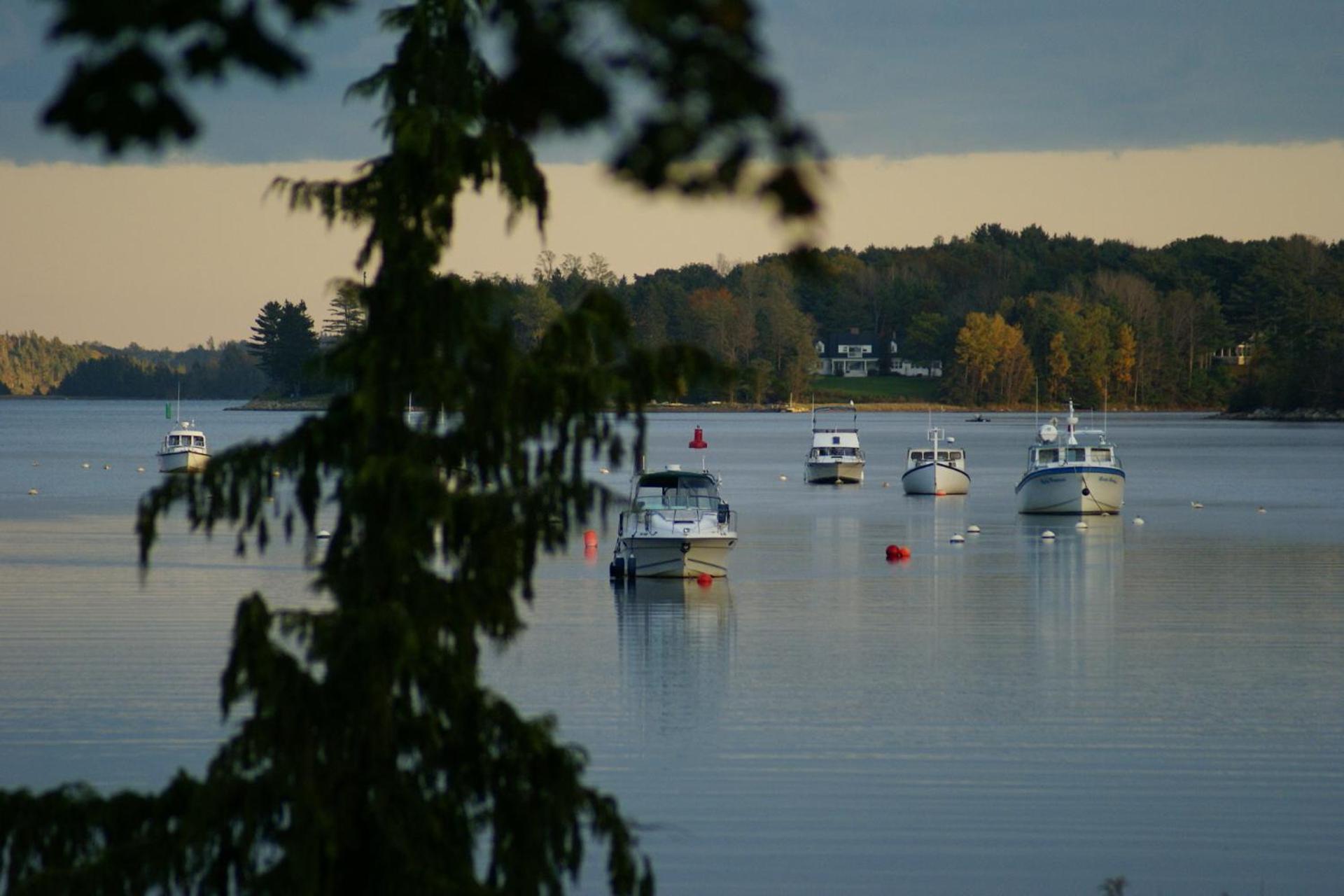 Fisherman'S Daughter B&B Mahone Bay Zewnętrze zdjęcie